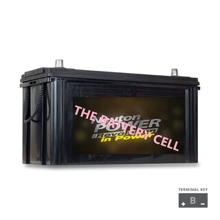 NP REVOLUTION N100 Maintenance Free Commercial VRLA Battery 750CCA