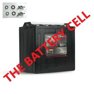 S-875 Trojan Battery 8V 165AH Silver