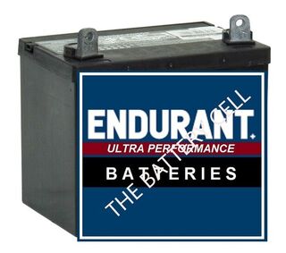 12N24/3HP HIGH-POWERED ENDURANT LAWNMOWER BATTERY from USA
