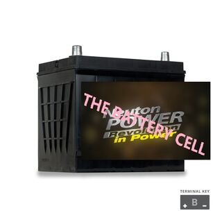 NP REVOLUTION 55D23R Maintenance Free Automotive Battery 600CCA