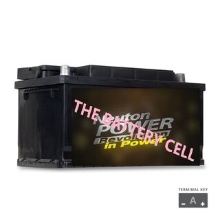 NP REVOLUTION DIN73 Maintenance Free European Automotive Battery 700CCA