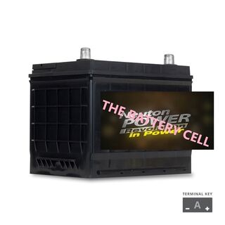 NP REVOLUTION N50L Maintenance Free Automotive Battery 650CCA