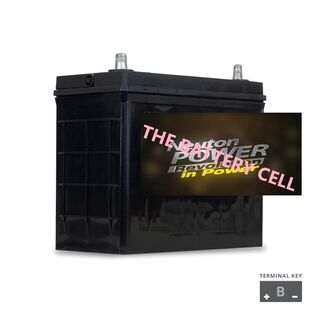 NP REVOLUTION NS60 Maintenance Free Automotive Battery 450CCA