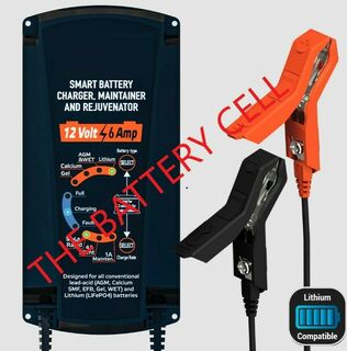 12V 6A Battery Charger and Maintainer, does Lithium
