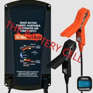 12V 25A Battery Charger and Maintainer, does Lithium