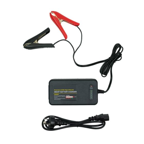 NP Power 12v 4amp SLA Charger