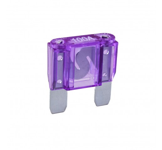 100 AMP PURPLE MAXI BLADE FUSE (Blister pack of 1)
