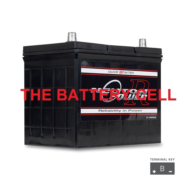 Neuton Power NS70 Maintenance Free Automotive Battery 700CCA