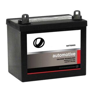 12N24/4HP HIGH-POWERED ULTRA LAWNMOWER BATTERY from USA