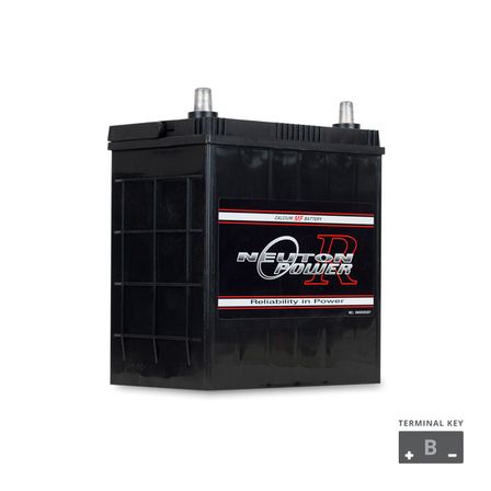 NP REVOLUTION NS40 Maintenance Free Automotive Battery 330CCA
