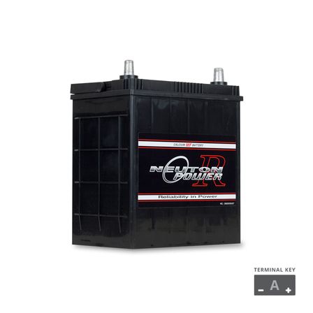 NP REVOLUTION NS40L Maintenance Free Automotive Battery 330CCA