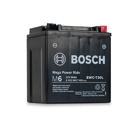 Bosch YTX30L-BS AGM Motorcycle battery 385cca